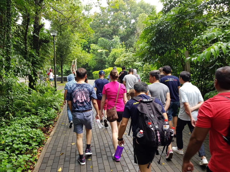 Recreational Outing